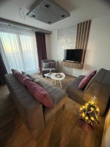 un soggiorno con divano e TV di Apartman Nikolina a Kopaonik