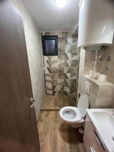 bagno con servizi igienici e lavandino di Apartman Nikolina a Kopaonik
