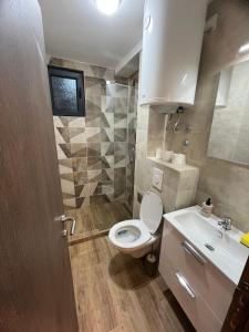 bagno con servizi igienici e lavandino di Apartman Nikolina a Kopaonik