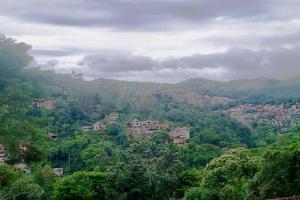 新弗里堡的住宿－Chácara do Vale, lindo visual em Nova Friburgo，林中的一个城镇