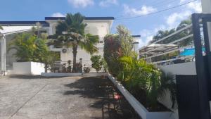 a white house with palm trees in front of it at Coconing logements studios et maisons in Sainte-Anne