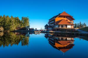 a house on the water next to a lake at Schusterjunge Aparthotel A4 in Sasbachwalden