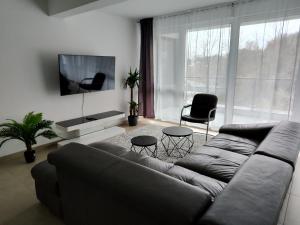 a living room with a couch and a tv at Valley of Business Frankfurt-West - Penthouse Nº2 - Three-Bedroom in Hofheim am Taunus