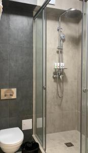 a bathroom with a glass shower with a toilet at Deluxe Park Z hotel in Almaty