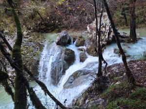 Príroda v okolí apartmánu