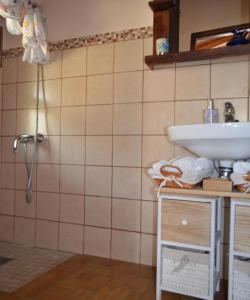 a bathroom with a sink and a shower at Casa rural con Wifi y estupenda vista a la montaña en Hermigua in Hermigua