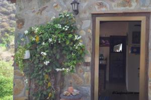 Zdjęcie z galerii obiektu Casa rural con Wifi y estupenda vista a la montaña en Hermigua w mieście Hermigua