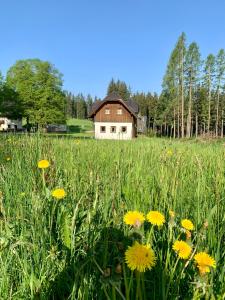 pole żółtych kwiatów przed domem w obiekcie Chalet zur Schmiede w mieście Liebenfels