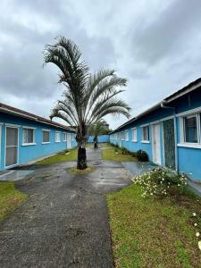 イタニャエンにあるCasa em condomínio itanhaemの家並木前のヤシの木