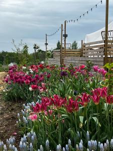 Giardino di Vättervy Glamping- Ravinstuga