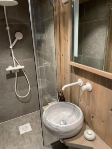 a bathroom with a shower and a toilet in it at Moderne hytte med badstue in Rømskog