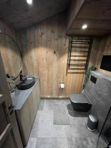 y baño con aseo, lavabo y espejo. en Moderne hytte med badstue en Rømskog