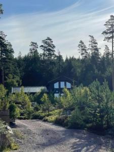 a house in the middle of a forest with trees at Moderne hytte med badstue in Rømskog