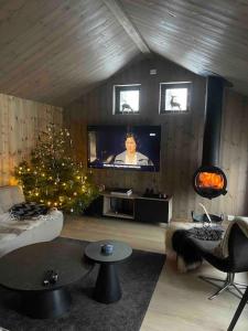 a living room with a television and a christmas tree at Moderne hytte ved sjøen med badstue in Rømskog +40 photos