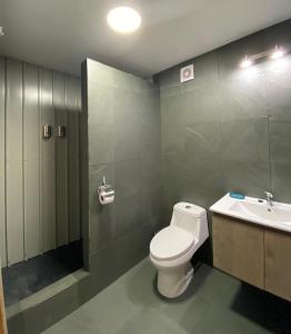 a bathroom with a toilet and a sink at Natagonia Apartments in Puerto Natales