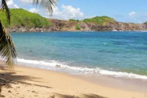 a beach with a palm tree and the ocean at Charmant studio avec vue sur mer à Sainte-Luce - 30m² in Sainte-Luce