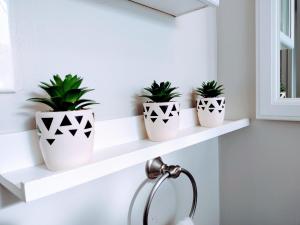 three potted plants sitting on white shelves in a bathroom at Bonfoy Guest House in Colorado Springs