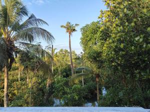 a view of a jungle with palm trees at Munroe La Casa in Kollam