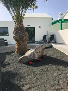 Fotografia z galérie ubytovania Luxury Villa sea front Costa Teguise v destinácii Costa Teguise