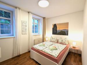 a bedroom with a bed and a window at Grosse Wohnung - Balkon,Pool,Garten&Grill - HW1b in Sebnitz