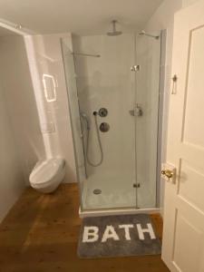 La salle de bains est pourvue d'une douche, de toilettes et d'un tapis. dans l'établissement Understadt 14 guesthouse, à Stein am Rhein