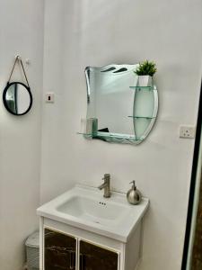 une salle de bain avec un lavabo et un miroir au mur dans l'établissement Sea La Vie Villa, à Grand Gaube