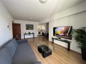 sala de estar con sofá y TV de pantalla plana en Prince Boutique Apartment/1BR en Nicosia