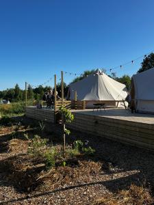 a tent and a table with a tree in a field at Vättervy Glamping in Habo