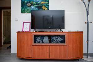 a television on top of a wooden entertainment center at Casa do Briamante 9 in Sintra