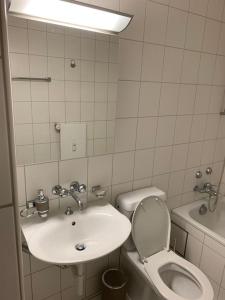 ein Bad mit einem Waschbecken und einem WC in der Unterkunft Cozy Flat in the Center of Kleinbasel in Basel