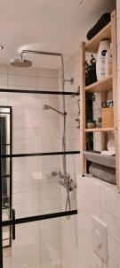 a bathroom with a shower with a glass door at Central Grünerløkka, close to city center in Oslo