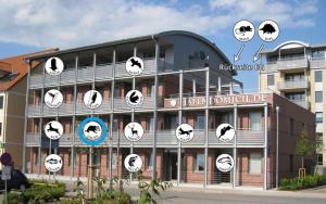 Budova, kde se apartmán nachází