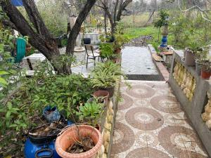 a garden with potted plants and a patio with a tree at Two bedroom with garden in Constantine