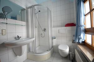 a bathroom with a shower and a sink and a toilet at Appartement "Romantika" in Klink