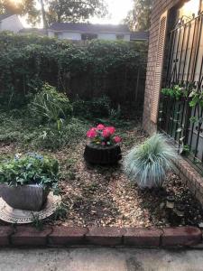 a garden with three potted plants next to a fence at Savannah Posh 2 King Bed townhome near downtown and Tybee in Savannah