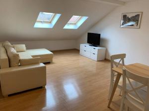 a living room with a couch and a tv and skylights at Cozy Little One Room Appartment, a tranquil haven! in Mulhouse