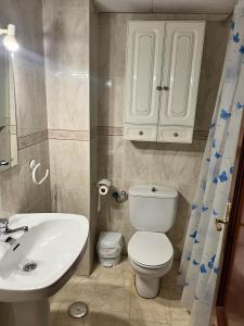 uma casa de banho com um WC branco e um lavatório. em Santa María 13 em Huelva
