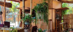 a restaurant with plants hanging from the wall at Casa travesia in Ayampe +19 photos