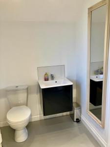 łazienka z toaletą i umywalką w obiekcie Les Trois Blocs w mieście Newcastle