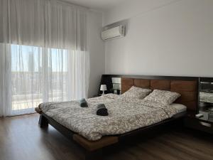 a bedroom with a large bed and a large window at Sunny Rooms in Limassol