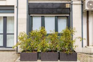 une fenêtre avec quatre plantes devant elle dans l'établissement Brand new large studio with parking - Opera studio, à Milan