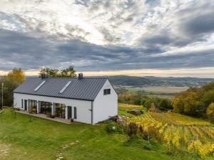 une maison blanche sur une colline avec des vignes dans l'établissement Apartament Dąbrówka w Winiarni, à Dąbrówka Szczepanowska