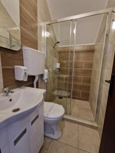 La salle de bains est pourvue de toilettes et d'une douche en verre. dans l'établissement sobe Astonia, à Subotica