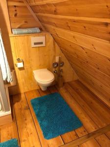 een kleine badkamer met een toilet en een blauw tapijt bij gemütliches Apartment mit Galerie im Ferienhof in Litzendorf