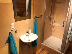 a bathroom with a sink and a shower at gemütliches Apartment mit Galerie im Ferienhof in Litzendorf