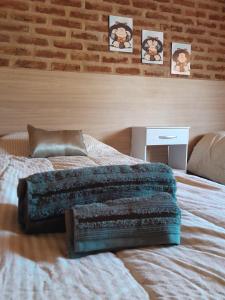 1 dormitorio con 1 cama con sofá en Cabaña Río Pulmarí en Aluminé