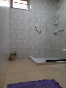 アルミネにあるCabaña Río Pulmaríのバスルーム(ガラス張りのシャワー、シンク付)