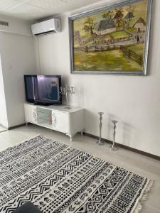 ein Wohnzimmer mit einem TV und einem Teppich in der Unterkunft Lavanda house in Konjic