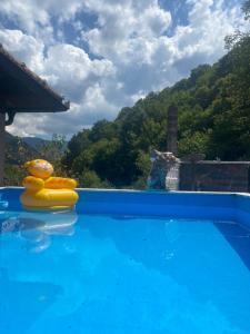 einem Pool mit einem gelben Floß im Wasser in der Unterkunft Lavanda house in Konjic