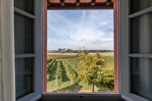 Zahrada ubytování Agriturismo Podere La Rocca